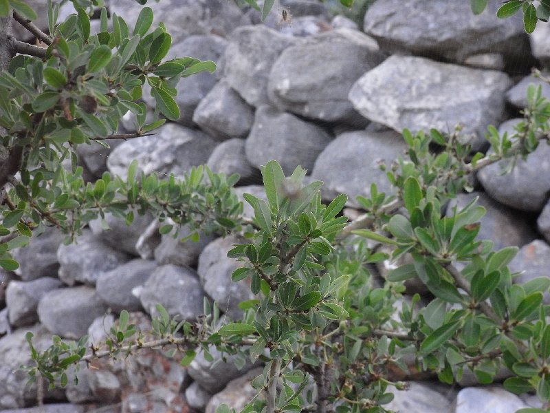 R0011550.JPG