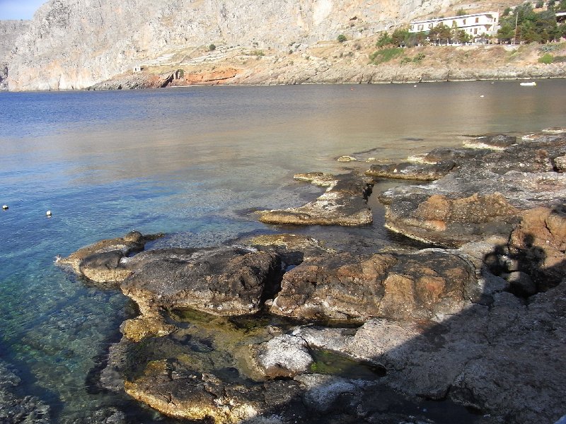R0011553.JPG