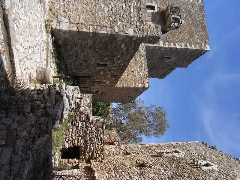 R0011560.JPG
