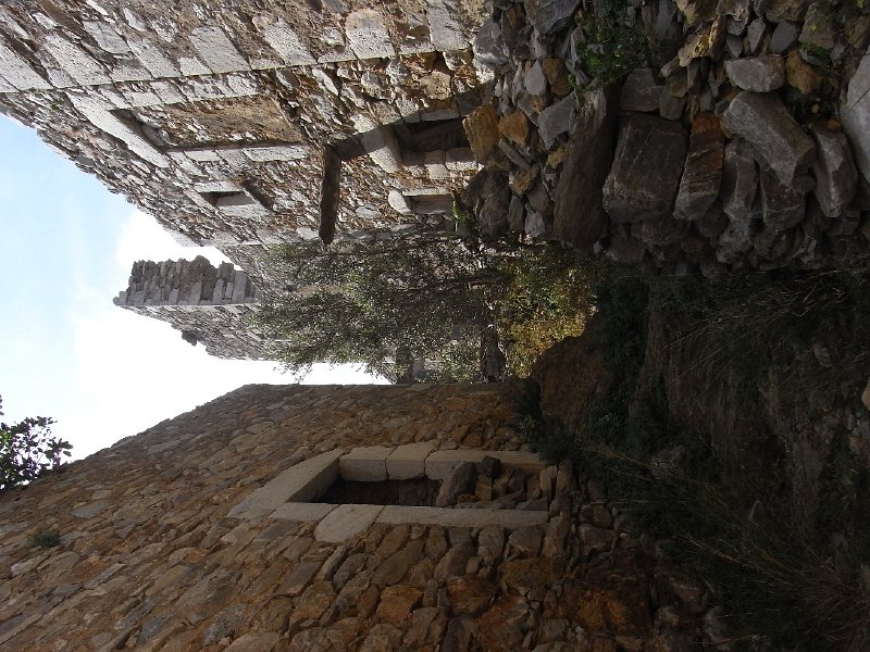 R0011570.JPG