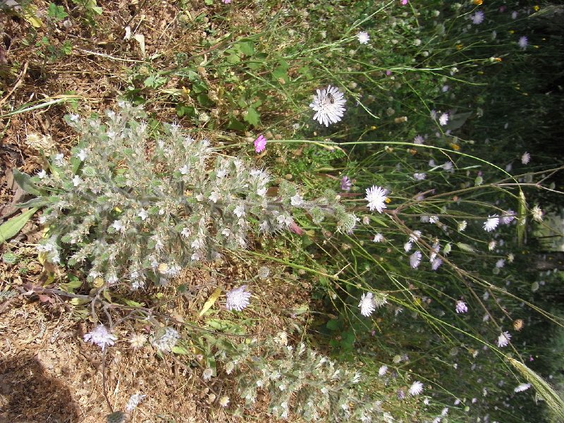 R0011588.JPG