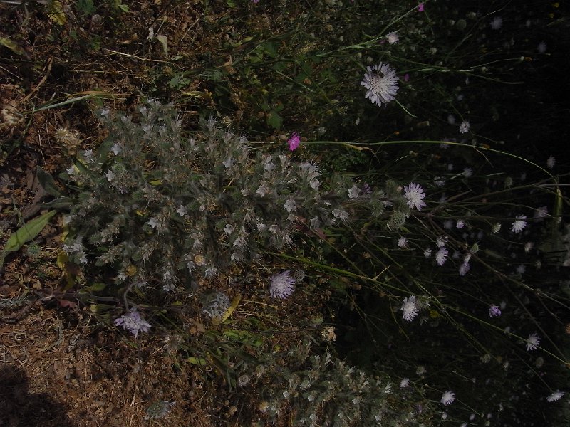 R0011589.JPG