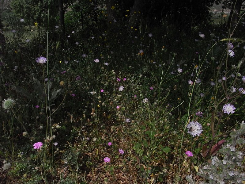 R0011590.JPG