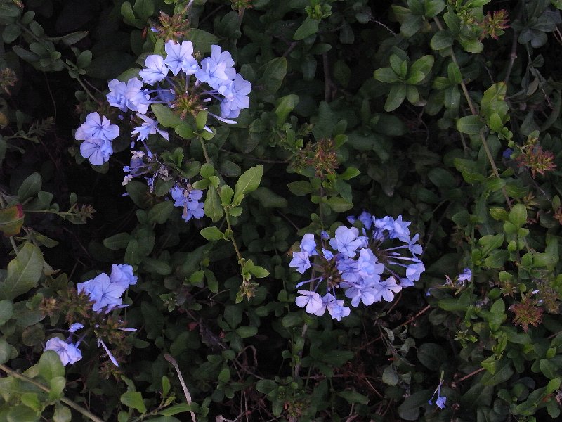R0011605.JPG