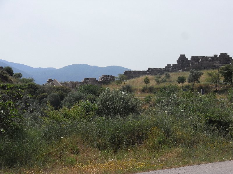 R0011613.JPG
