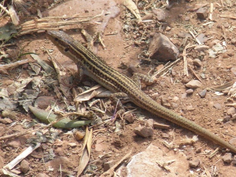 R0011643.JPG