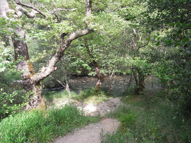 R0011657.JPG
