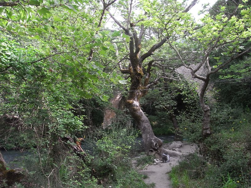 R0011658.JPG