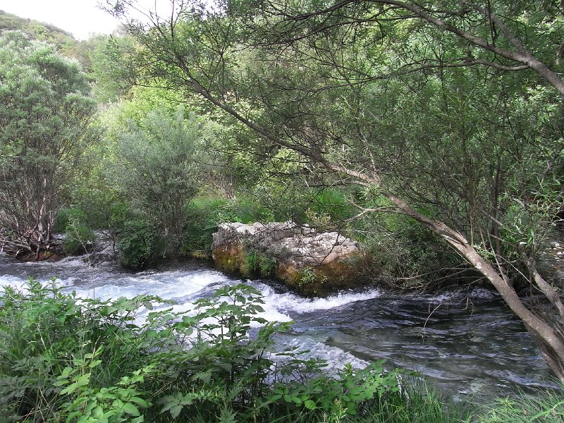 R0011660.JPG