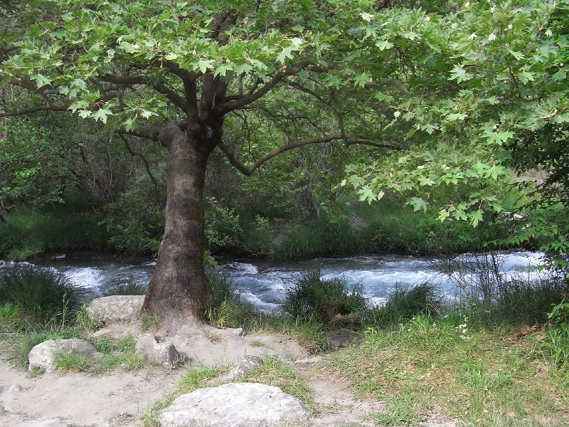 R0011661.JPG