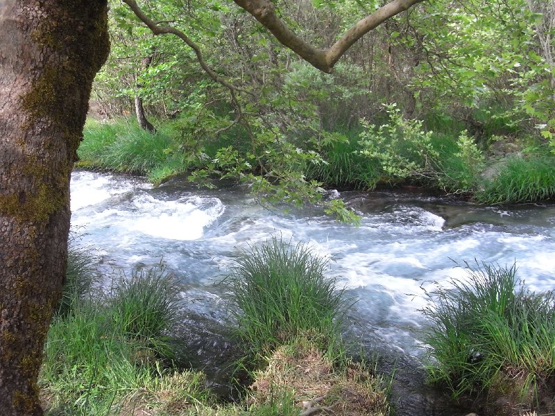 R0011662.JPG