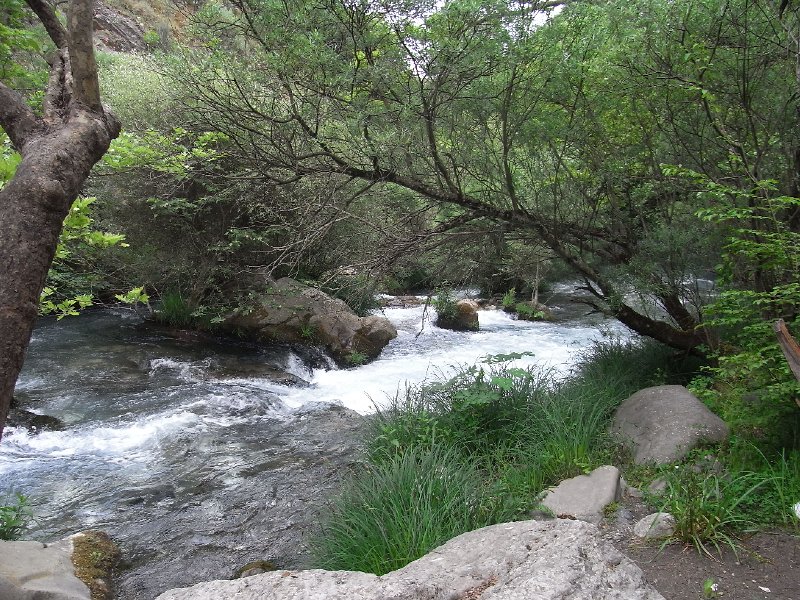 R0011672.JPG
