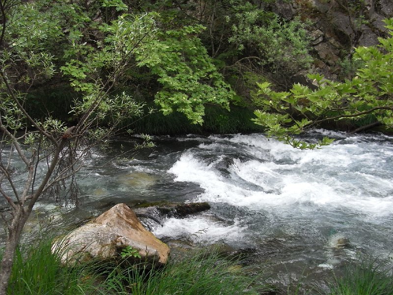 R0011673.JPG