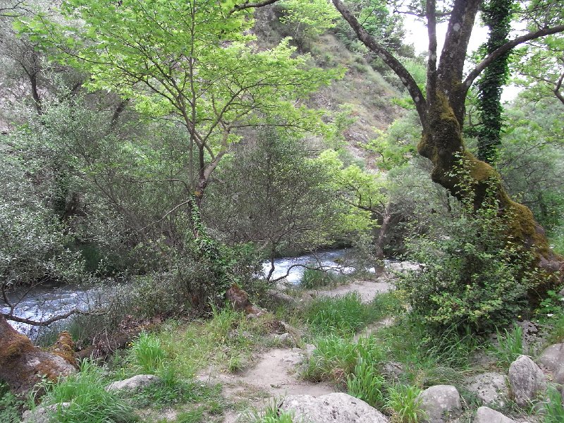R0011677.JPG