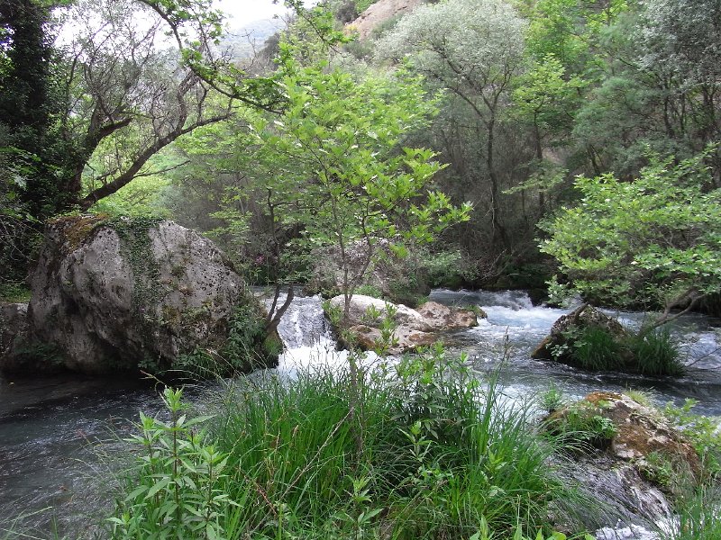 R0011678.JPG