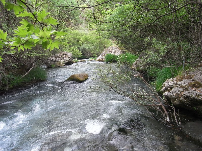 R0011679.JPG