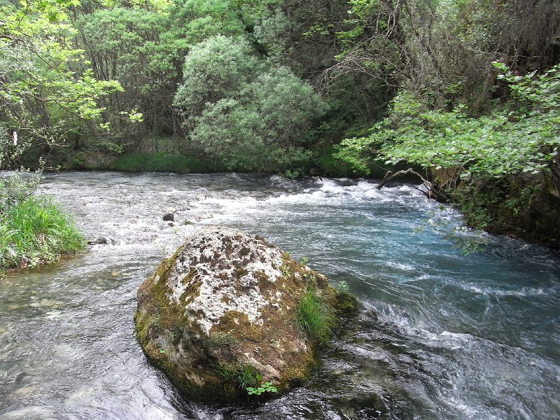 R0011680.JPG