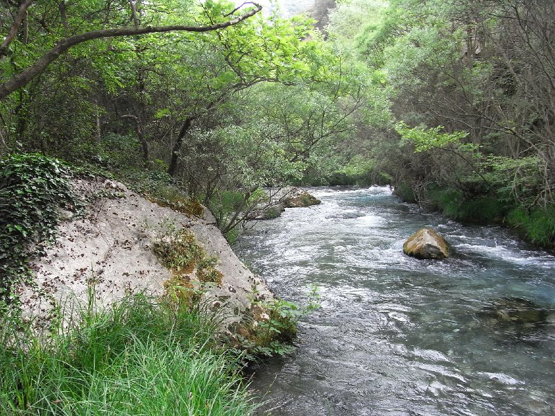 R0011681.JPG