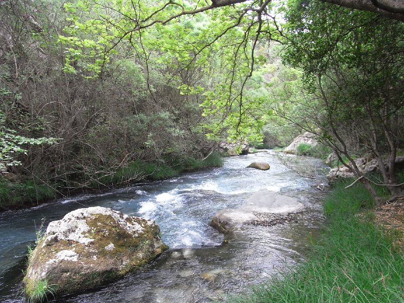 R0011682.JPG