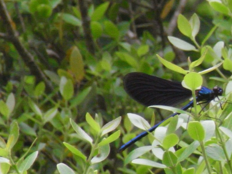 R0011683.JPG
