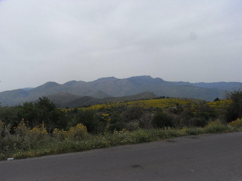 R0011684.JPG