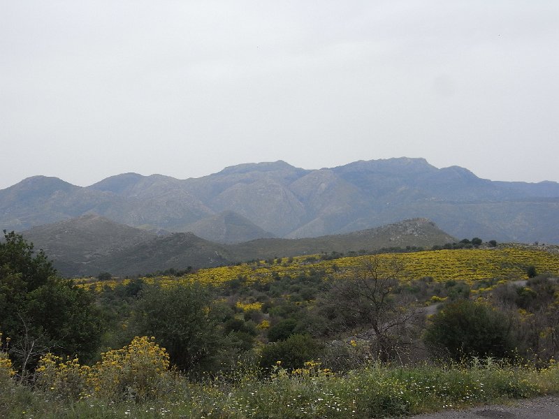 R0011685.JPG