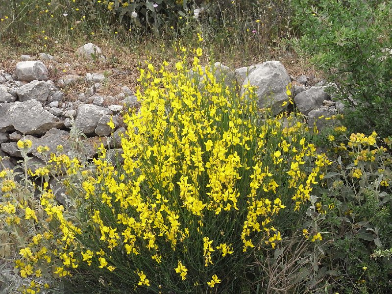 R0011687.JPG