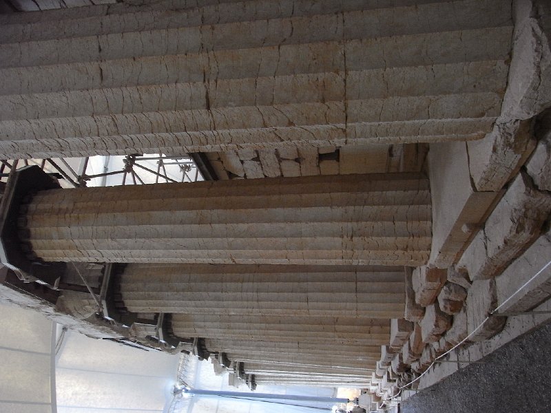 R0011697.JPG