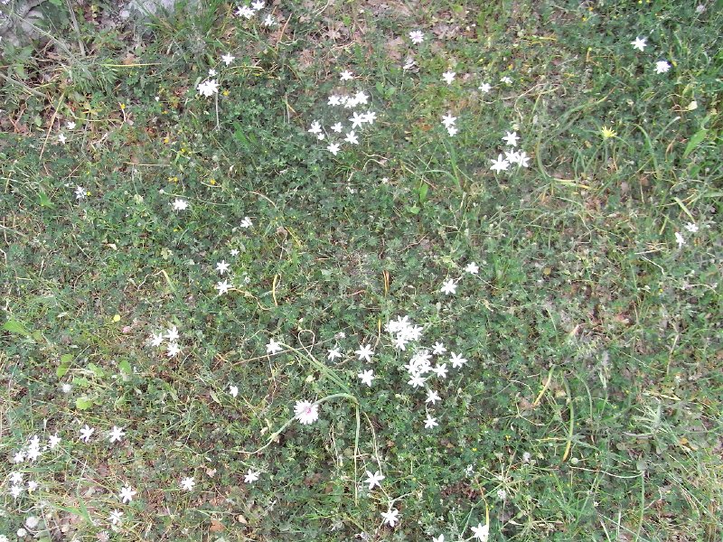 R0011699.JPG