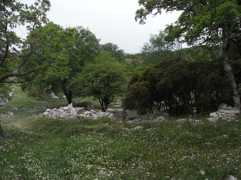 R0011705.JPG