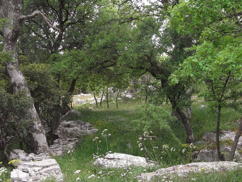R0011706.JPG