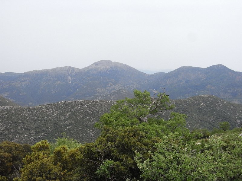 R0011707.JPG