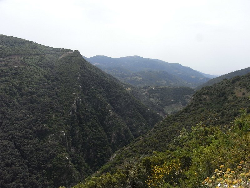 R0011710.JPG
