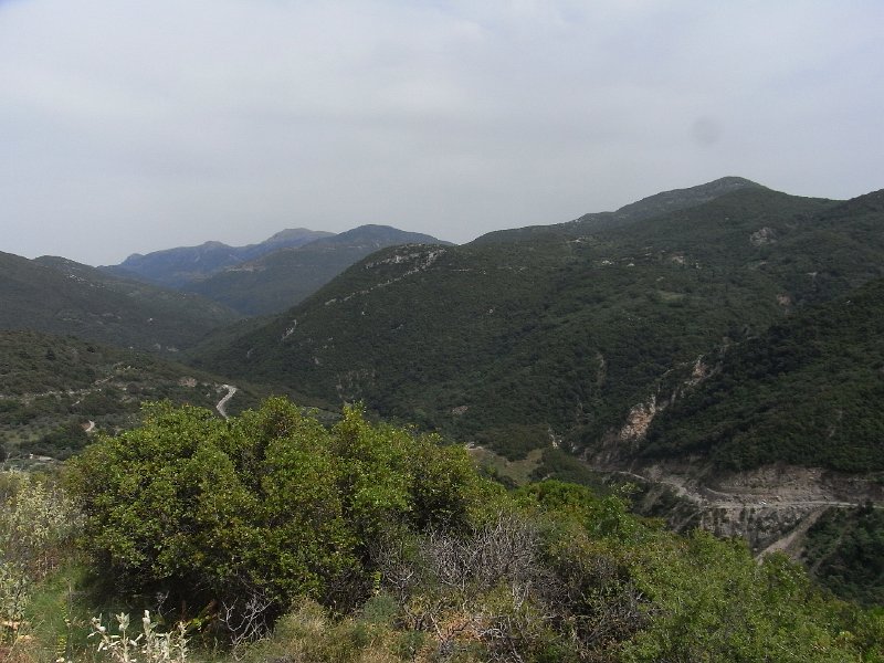 R0011711.JPG