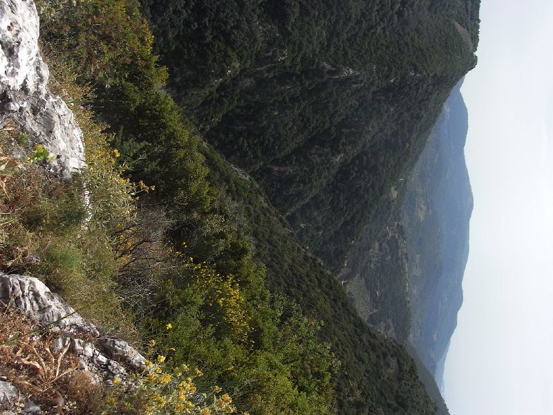 R0011712.JPG