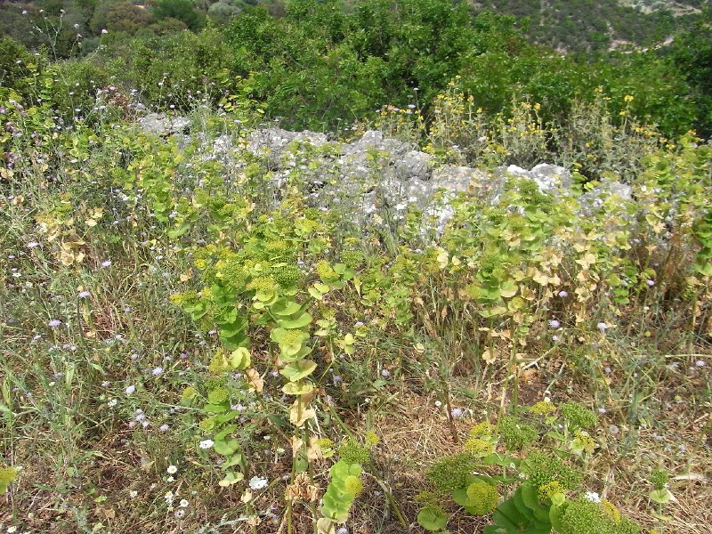 R0011713.JPG