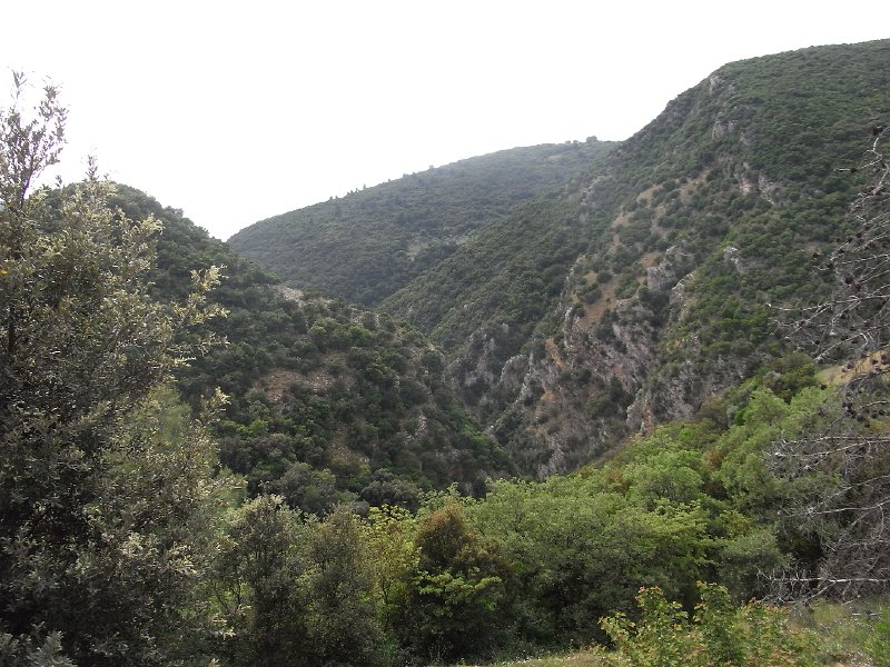 R0011718.JPG