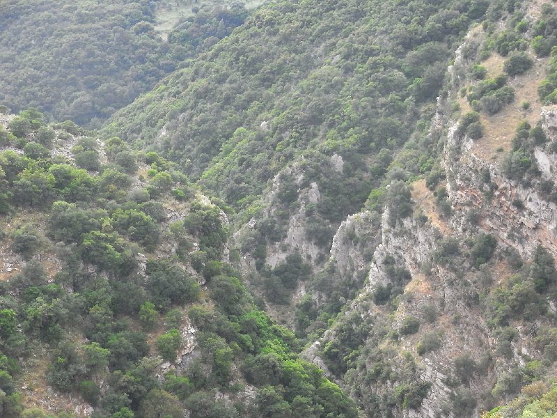 R0011719.JPG