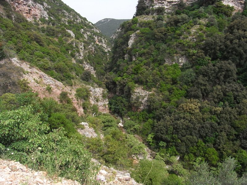 R0011720.JPG