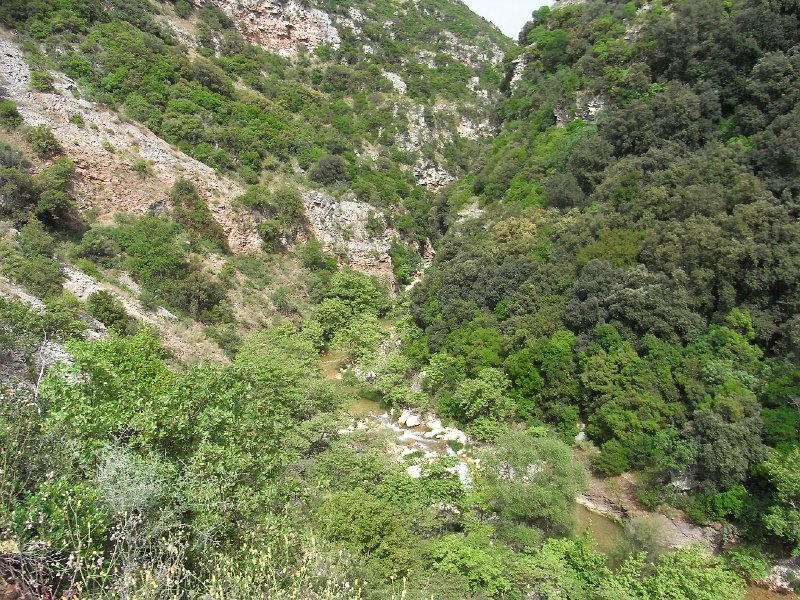 R0011721.JPG