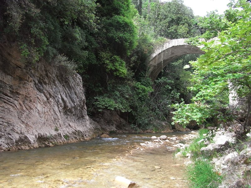R0011723.JPG