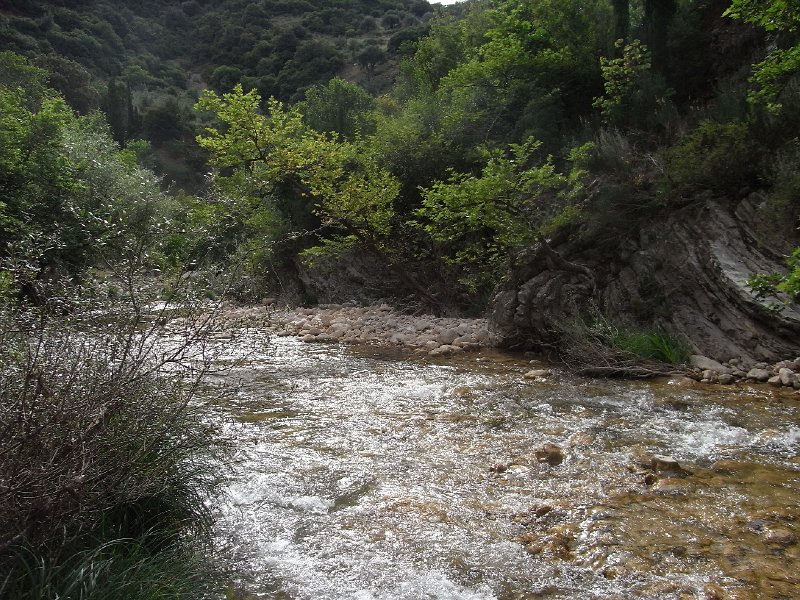 R0011724.JPG