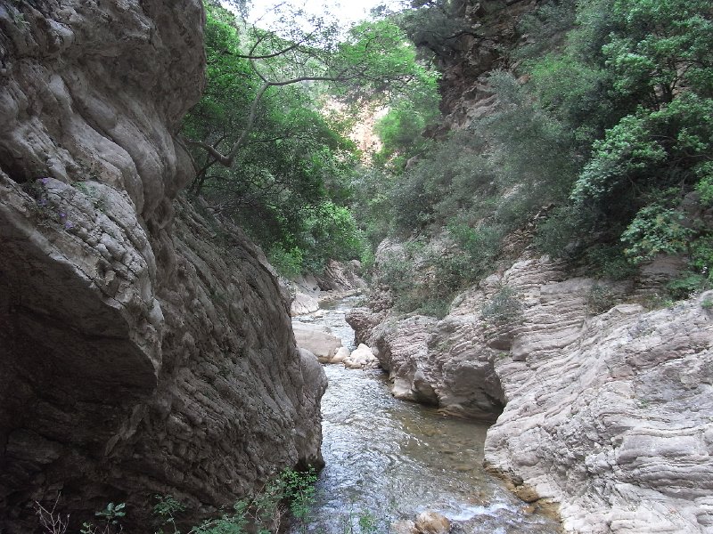 R0011725.JPG