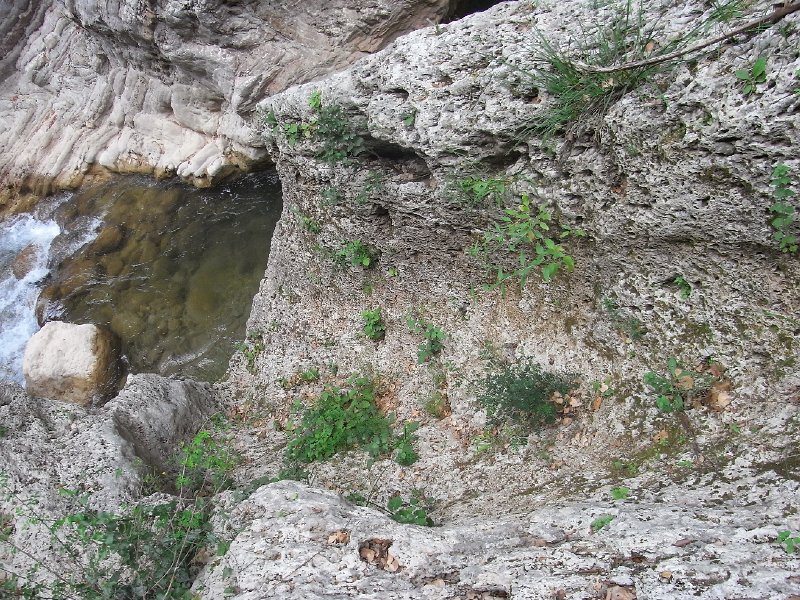 R0011726.JPG