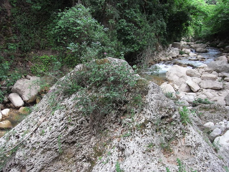 R0011727.JPG