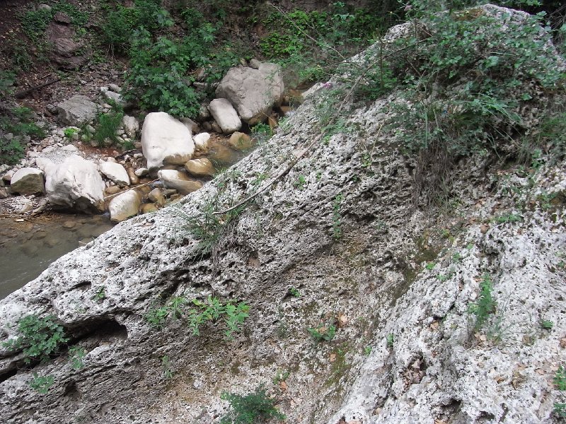 R0011728.JPG