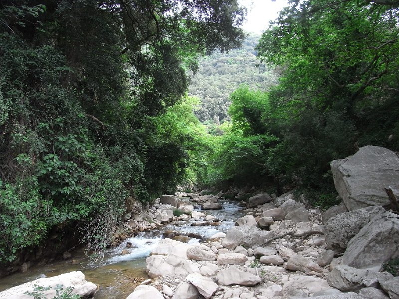 R0011729.JPG