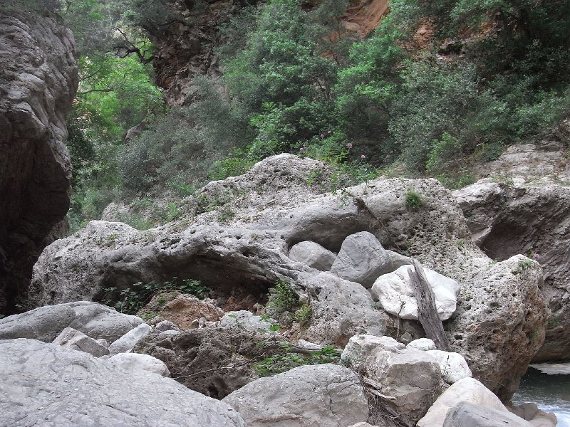R0011732.JPG