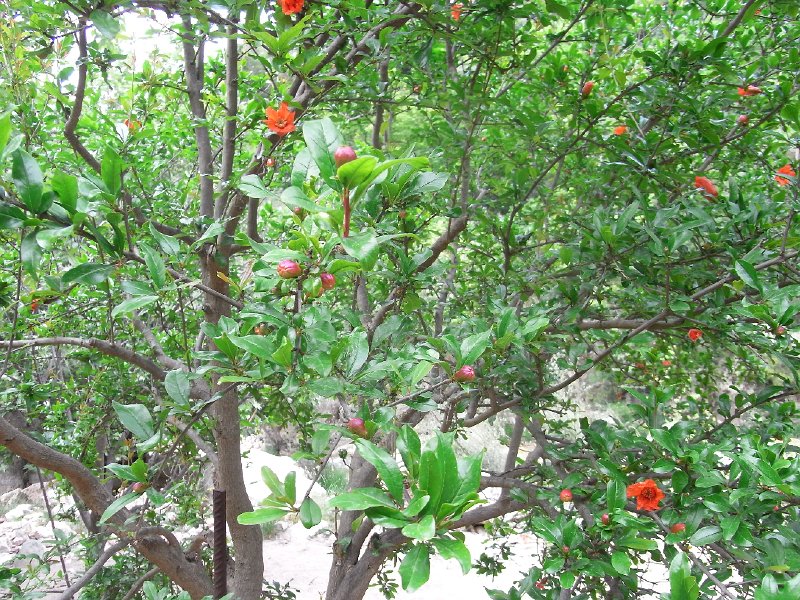 R0011734.JPG
