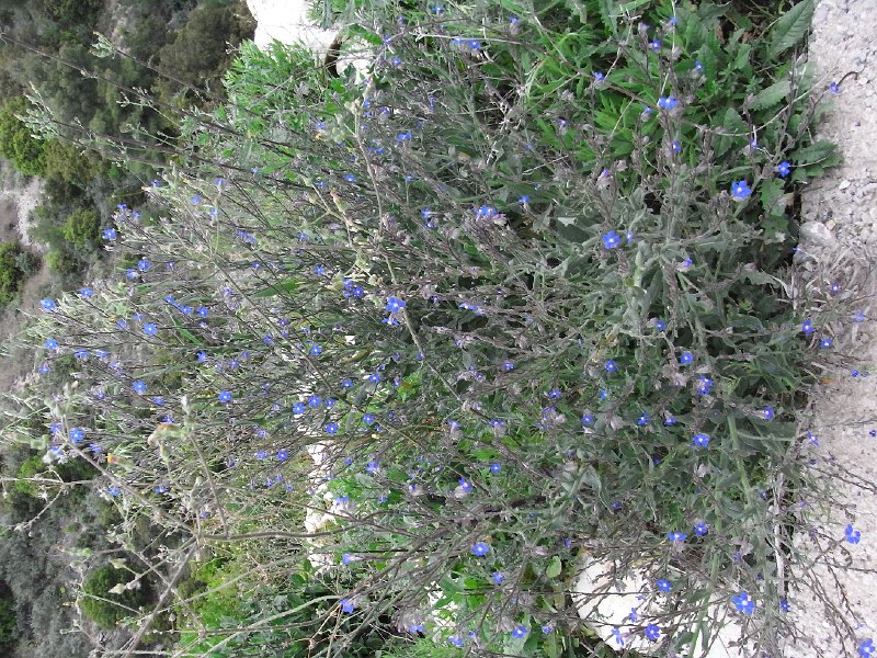 R0011751.JPG